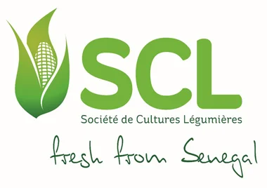 Scl